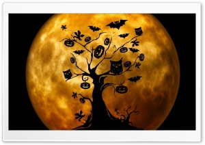 Halloween Owls and Bats Orange Ultra HD Wallpaper for 4K UHD Widescreen desktop, tablet & smartphone