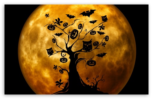 Halloween Owls and Bats Orange UltraHD Wallpaper for UHD 16:9 ; HD 16:9 ; Widescreen 16:10 5:3 ; Fullscreen 4:3 5:4 3:2 ; Tablet 1:1 ; Mobile 3:5 3:4 ;