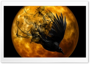 Halloween Raven Ultra HD Wallpaper for 4K UHD Widescreen desktop, tablet & smartphone