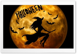 Halloween Witch on Broom Orange Ultra HD Wallpaper for 4K UHD Widescreen desktop, tablet & smartphone