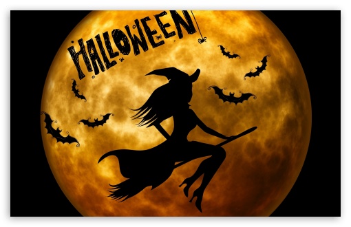 Witch Halloween Wallpaper With Pumpkins In A Dark Room Background, Hd  Halloween Picture Background Image And Wallpaper for Free Download