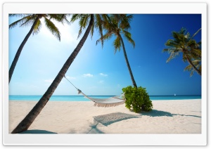 Hammock On Tropical Beach Ultra HD Wallpaper for 4K UHD Widescreen desktop, tablet & smartphone