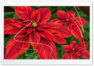 Hand Drawn Poinsettia Ultra HD Wallpaper for 4K UHD Widescreen desktop, tablet & smartphone