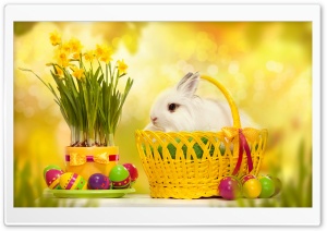 Happy Easter Bunny Ultra HD Wallpaper for 4K UHD Widescreen desktop, tablet & smartphone