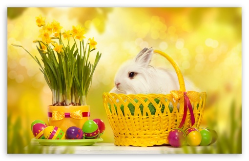 happy bunny desktop backgrounds