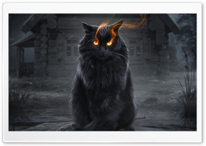 Happy Halloween - Magic Black Cat Ultra HD Wallpaper for 4K UHD Widescreen desktop, tablet & smartphone