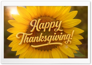 Happy Thanksgiving Sunflower Greeting 4K UHD Wallpaper for Widescreen and UltraWide Desktop, UltraHD TV, Smartphone, Tablet