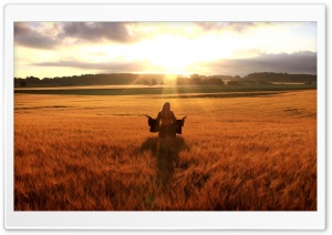 Happy Woman In Golden Wheat Field Ultra HD Wallpaper for 4K UHD Widescreen desktop, tablet & smartphone