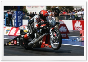 Harley Davidson Dragster Ultra HD Wallpaper for 4K UHD Widescreen desktop, tablet & smartphone