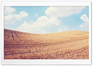 Harvest Field Ultra HD Wallpaper for 4K UHD Widescreen desktop, tablet & smartphone