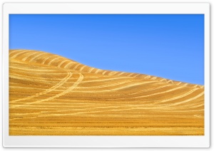 Harvested Wheat Field 4K UHD Wallpaper for Widescreen and UltraWide Desktop, UltraHD TV, Smartphone, Tablet