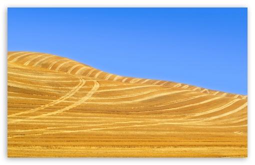 Harvested Wheat Field UltraHD Wallpaper for UHD 16:9 ; HD 16:9 ; UltraWide 21:9 24:10 32:9 32:10 ; Widescreen 16:10 ; Tablet 1:1 ; Mobile 9:16 9:19.5 9:20 9:21 9:22 ; Dual 16:10 16:9 ;