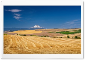 Harvested Wheatfield with Mount Hood 4K UHD Wallpaper for Widescreen and UltraWide Desktop, UltraHD TV, Smartphone, Tablet