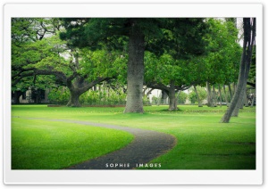 Hawaii Ultra HD Wallpaper for 4K UHD Widescreen desktop, tablet & smartphone
