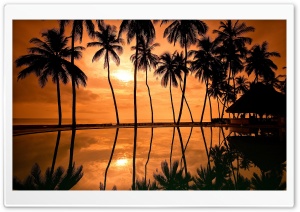Hawaiian Beach Sunset Reflection Ultra HD Wallpaper for 4K UHD Widescreen desktop, tablet & smartphone