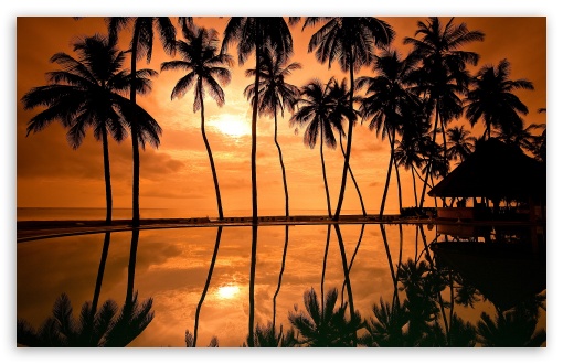 Hawaiian Beach Sunset Reflection UltraHD Wallpaper for Wide 16:10 5:3 Widescreen WHXGA WQXGA WUXGA WXGA WGA ; 8K UHD TV 16:9 Ultra High Definition 2160p 1440p 1080p 900p 720p ; Standard 4:3 5:4 3:2 Fullscreen UXGA XGA SVGA QSXGA SXGA DVGA HVGA HQVGA ( Apple PowerBook G4 iPhone 4 3G 3GS iPod Touch ) ; Smartphone 5:3 WGA ; Tablet 1:1 ; iPad 1/2/Mini ; Mobile 4:3 5:3 3:2 16:9 5:4 - UXGA XGA SVGA WGA DVGA HVGA HQVGA ( Apple PowerBook G4 iPhone 4 3G 3GS iPod Touch ) 2160p 1440p 1080p 900p 720p QSXGA SXGA ;