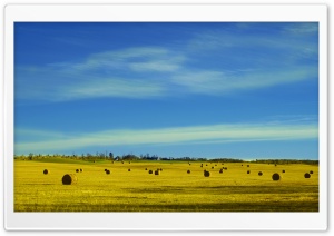 Hay Bales in a Field Ultra HD Wallpaper for 4K UHD Widescreen desktop, tablet & smartphone