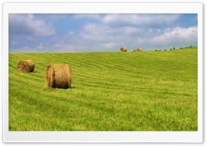 Hay Bales On Green Grass Ultra HD Wallpaper for 4K UHD Widescreen desktop, tablet & smartphone