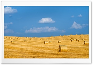 Hayfield Round Bales, Agriculture 4K UHD Wallpaper for Widescreen and UltraWide Desktop, UltraHD TV, Smartphone, Tablet