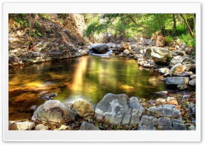 HDR Forest Creek Ultra HD Wallpaper for 4K UHD Widescreen desktop, tablet & smartphone
