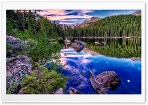 HDR Forest Reflection Ultra HD Wallpaper for 4K UHD Widescreen desktop, tablet & smartphone