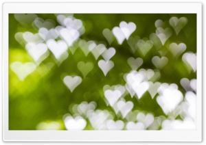 Heart Bokeh Ultra HD Wallpaper for 4K UHD Widescreen desktop, tablet & smartphone