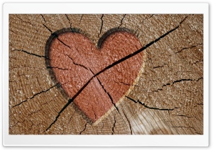 Heart Engraved Log Ultra HD Wallpaper for 4K UHD Widescreen desktop, tablet & smartphone