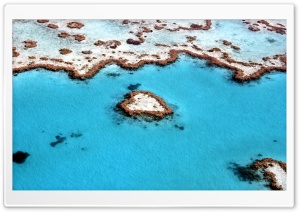 Heart Reef, Great Barrier Reef Ultra HD Wallpaper for 4K UHD Widescreen desktop, tablet & smartphone