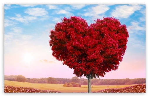 Heart-shaped Tree UltraHD Wallpaper for UHD 16:9 ; HD 16:9 ; UltraWide 21:9 24:10 ; Widescreen 16:10 5:3 ; Fullscreen 4:3 5:4 3:2 ; Tablet 1:1 ;
