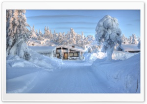 Heavy Snow HDR Ultra HD Wallpaper for 4K UHD Widescreen desktop, tablet & smartphone