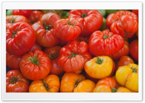 Heirloom Tomatoes Ultra HD Wallpaper for 4K UHD Widescreen desktop, tablet & smartphone