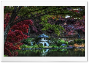 Hidden Pond Lantern Ultra HD Wallpaper for 4K UHD Widescreen desktop, tablet & smartphone
