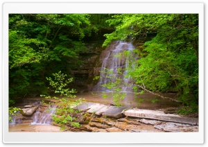 Hidden Waterfall Surrounded by Forest 4K UHD Wallpaper for Widescreen and UltraWide Desktop, UltraHD TV, Smartphone, Tablet