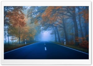 Highway Through Autumn Forest Foliage in Mist 4K UHD Wallpaper for Widescreen and UltraWide Desktop, UltraHD TV, Smartphone, Tablet