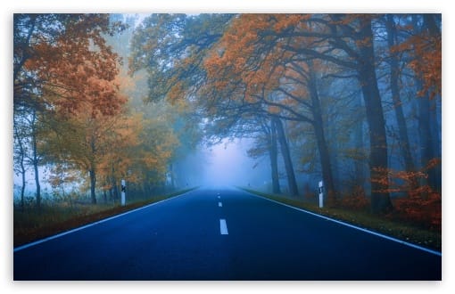 Highway Through Autumn Forest Foliage in Mist UltraHD Wallpaper for UHD 16:9 ; HD 16:9 ; UltraWide 21:9 24:10 32:9 32:10 ; Widescreen 16:10 ; Tablet 1:1 ; Mobile 9:16 9:19.5 9:20 9:21 9:22 ; Dual 16:10 16:9 ;