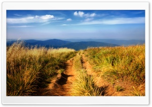 Hiking Path Ultra HD Wallpaper for 4K UHD Widescreen desktop, tablet & smartphone