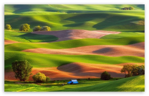 Hills, Steptoe Butte State Park, USA UltraHD Wallpaper for Wide 16:10 5:3 Widescreen WHXGA WQXGA WUXGA WXGA WGA ; 8K UHD TV 16:9 Ultra High Definition 2160p 1440p 1080p 900p 720p ; Standard 4:3 5:4 3:2 Fullscreen UXGA XGA SVGA QSXGA SXGA DVGA HVGA HQVGA ( Apple PowerBook G4 iPhone 4 3G 3GS iPod Touch ) ; Tablet 1:1 ; iPad 1/2/Mini ; Mobile 4:3 5:3 3:2 16:9 5:4 - UXGA XGA SVGA WGA DVGA HVGA HQVGA ( Apple PowerBook G4 iPhone 4 3G 3GS iPod Touch ) 2160p 1440p 1080p 900p 720p QSXGA SXGA ;