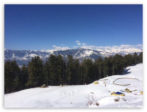 Hills With Tree UltraHD Wallpaper for Fullscreen 4:3 ;