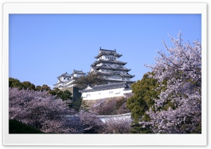 Himeji Castle And Cherry Blossoms Ultra HD Wallpaper for 4K UHD Widescreen desktop, tablet & smartphone