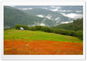 Historic Barn Bald Hills Redwood National Park Ultra HD Wallpaper for 4K UHD Widescreen Desktop, Lockscreen, Screensaver, TV, Tablet, Smartphone