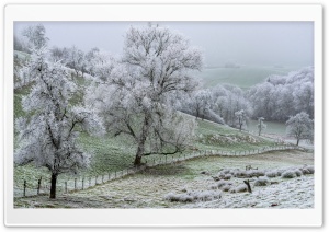 Hoarfrost Landscape Ultra HD Wallpaper for 4K UHD Widescreen Desktop, Lockscreen, Screensaver, TV, Tablet, Smartphone