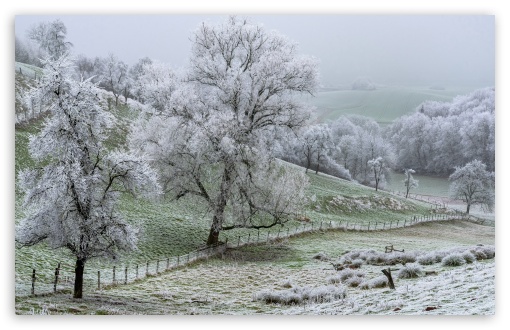 Hoarfrost Landscape UltraHD Wallpaper for UHD 16:9 ; HD 16:9 ; UltraWide 21:9 24:10 ; Widescreen 16:10 5:3 ; Fullscreen 4:3 5:4 3:2 ; Tablet 1:1 ; Mobile 9:16 9:19.5 9:20 10:16 2:3 3:5 3:4 ;