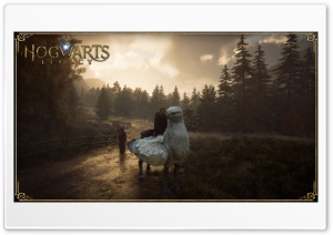 Hogwarts Legacy 4K UHD Wallpaper for Widescreen and UltraWide Desktop, UltraHD TV, Smartphone, Tablet