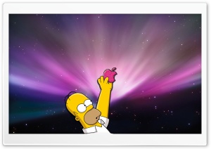 Homer Simpson Donut Ultra HD Wallpaper for 4K UHD Widescreen desktop, tablet & smartphone