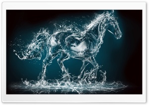 Horse Ultra HD Wallpaper for 4K UHD Widescreen desktop, tablet & smartphone