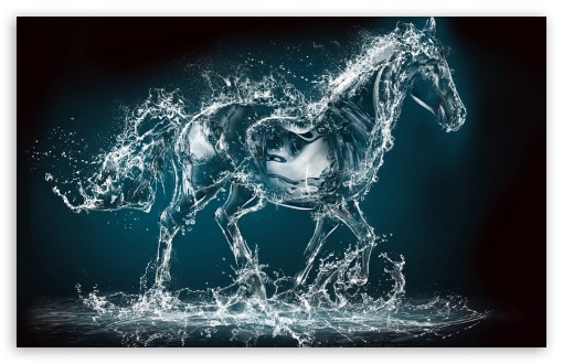 Horse UltraHD Wallpaper for Wide 16:10 5:3 Widescreen WHXGA WQXGA WUXGA WXGA WGA ; UltraWide 21:9 24:10 ; 8K UHD TV 16:9 Ultra High Definition 2160p 1440p 1080p 900p 720p ; UHD 16:9 2160p 1440p 1080p 900p 720p ; Standard 4:3 5:4 3:2 Fullscreen UXGA XGA SVGA QSXGA SXGA DVGA HVGA HQVGA ( Apple PowerBook G4 iPhone 4 3G 3GS iPod Touch ) ; Smartphone 5:3 WGA ; iPad 1/2/Mini ; Mobile 4:3 5:3 3:2 16:9 5:4 - UXGA XGA SVGA WGA DVGA HVGA HQVGA ( Apple PowerBook G4 iPhone 4 3G 3GS iPod Touch ) 2160p 1440p 1080p 900p 720p QSXGA SXGA ;