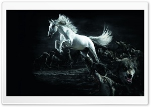 Horse and Wolves Ultra HD Wallpaper for 4K UHD Widescreen desktop, tablet & smartphone