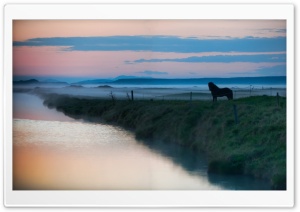 Horse, Landscape Ultra HD Wallpaper for 4K UHD Widescreen desktop, tablet & smartphone