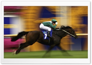 Horse Racing Ultra HD Wallpaper for 4K UHD Widescreen desktop, tablet & smartphone