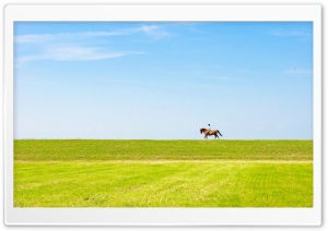 Horse Riding Ultra HD Wallpaper for 4K UHD Widescreen desktop, tablet & smartphone
